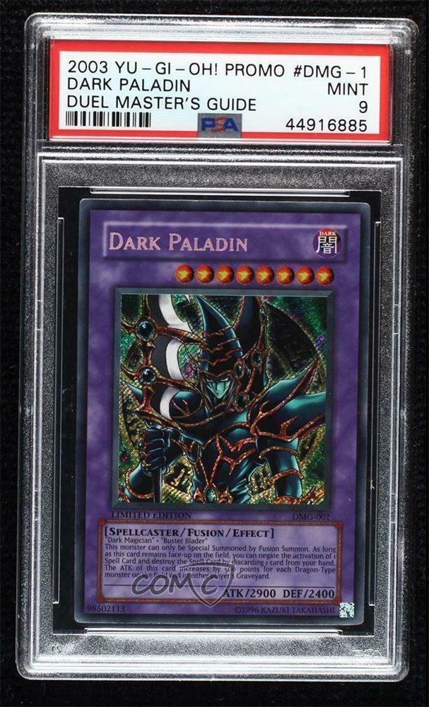 dark paladin dmg 001